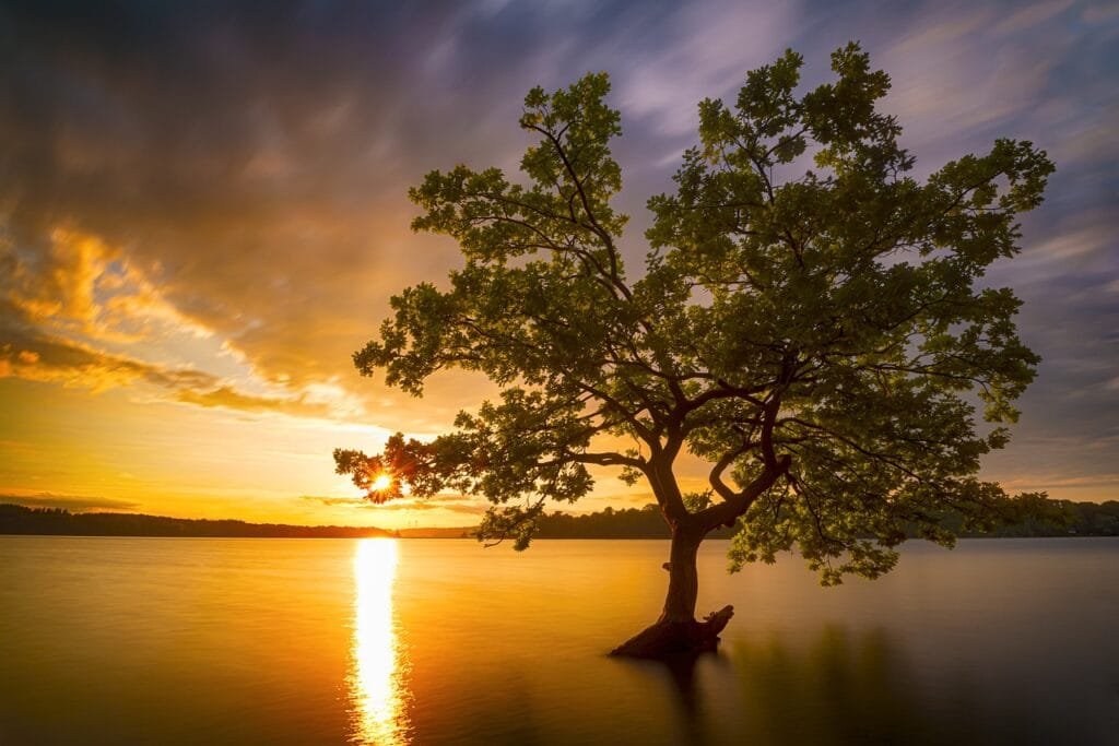tree, water, lake, landscape, sunset, clouds, nature, weather, tree, tree, tree, tree, tree, sunset, sunset