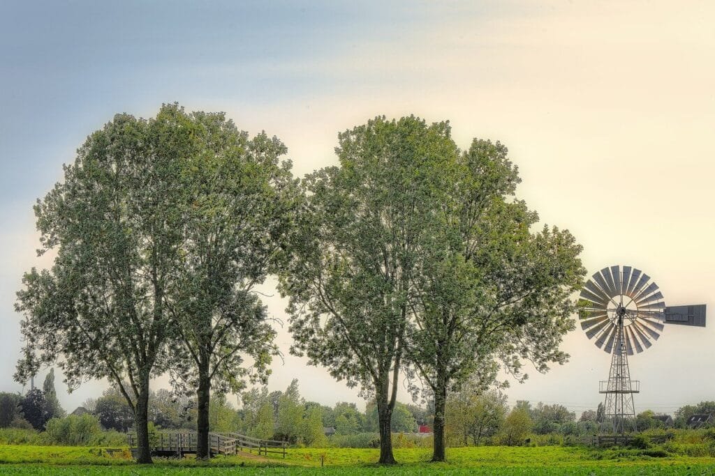 trees, wind mill, pasture, sunlight, landscape, farm, trees, nature, trees, trees, trees, trees