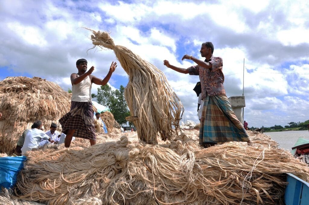 jute, harvest, workers