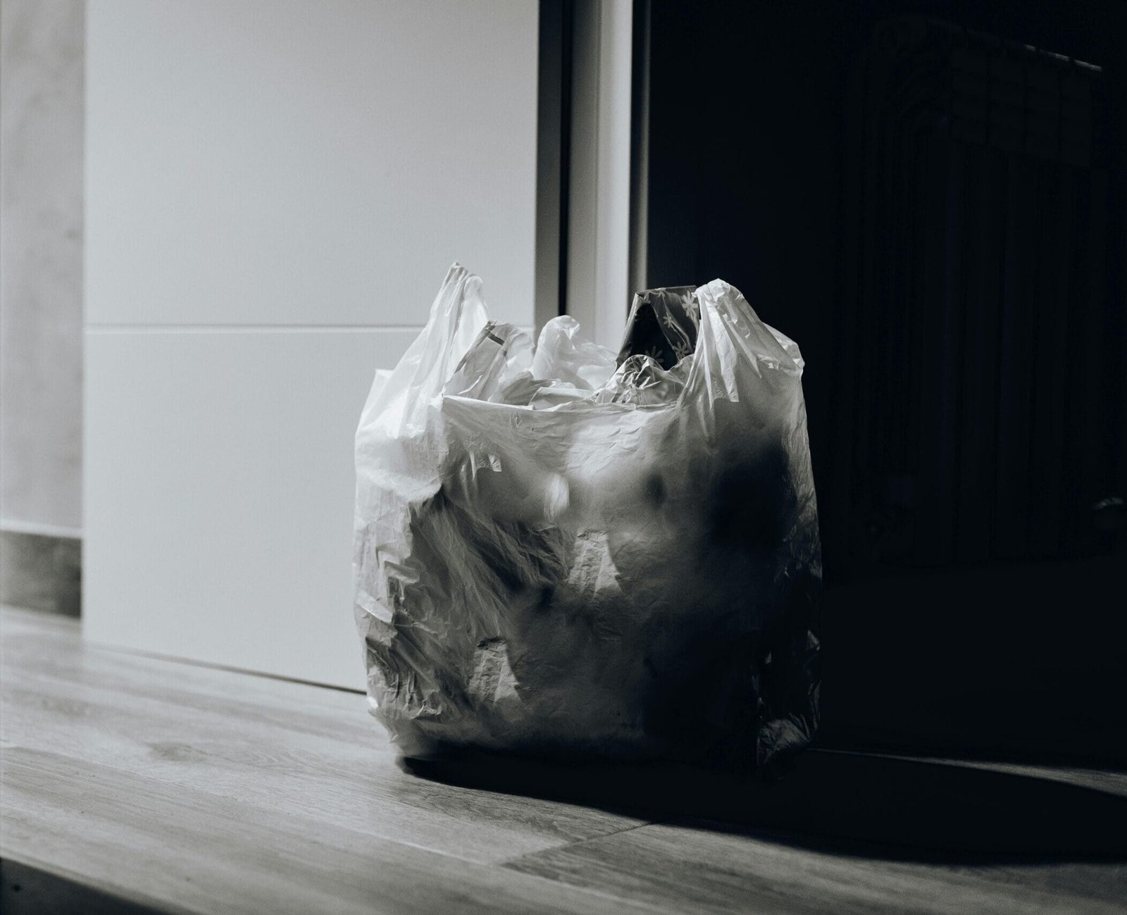 pexels-juanpphotoandvideo-1549528