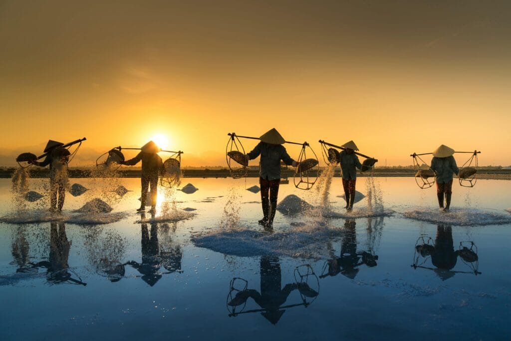 Silhouetted salt workers gather salt at sunset, casting reflections on the water.