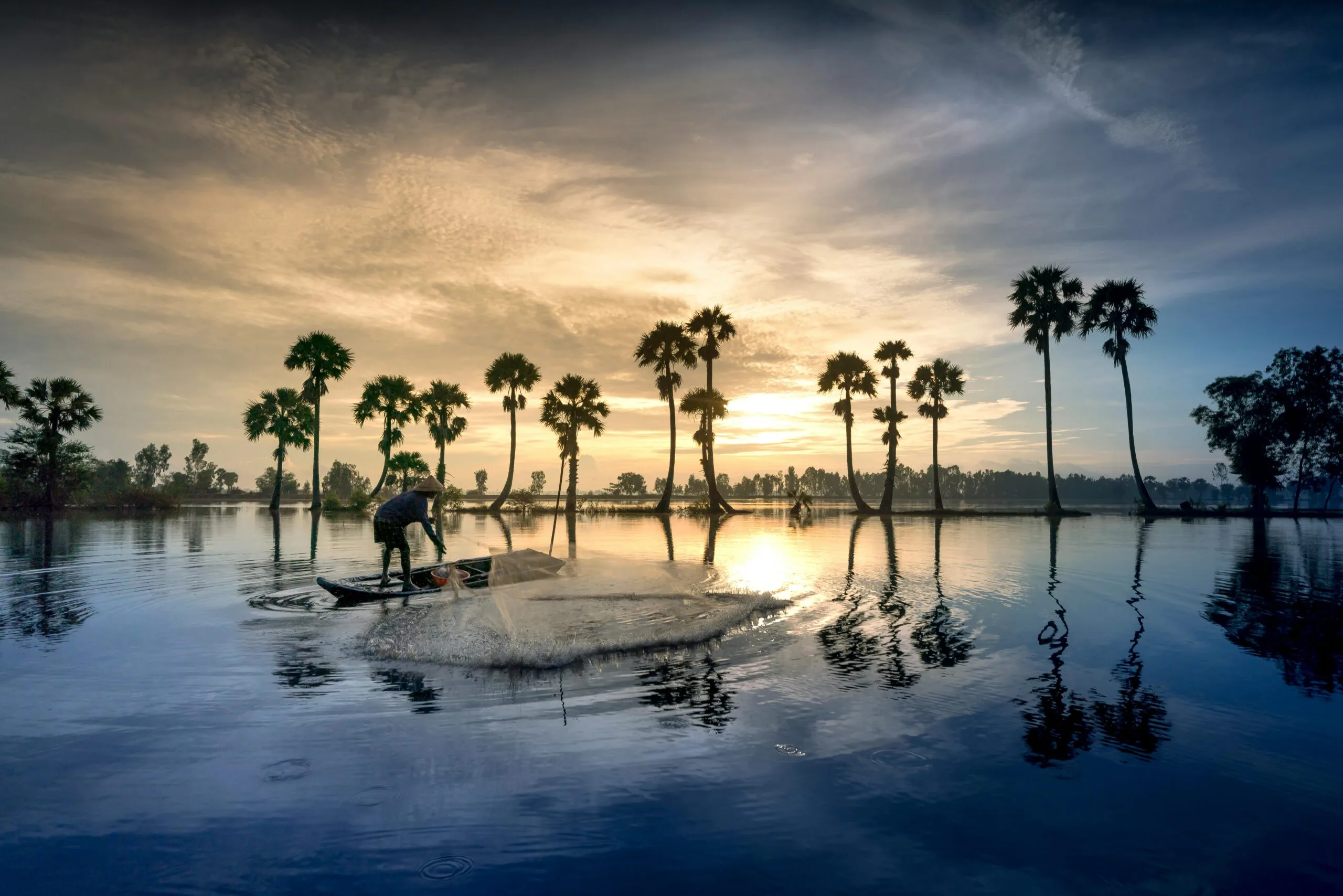 pexels-quang-nguyen-vinh-222549-2563138